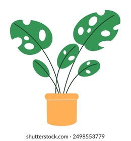 Planta de Monstera creciendo en maceta. Planta de interior de hoja verde en maceta. Decoración casera del follaje con agujeros en hojas en maceta. Ilustración vectorial gráfica plana de la planta casera aislada sobre fondo blanco