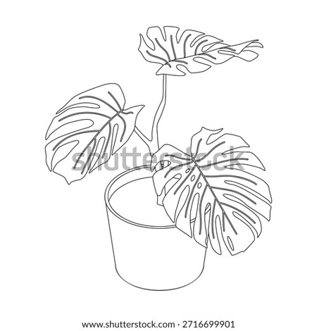 Monstera plant - hand drawn isometric black and white vector illustration.