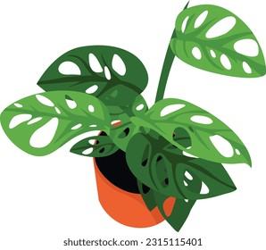 Monstera Plant House Plant EPS Vector Illustration