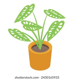Monstera plant icon isometric vector. Tropical leaves. Green house plant