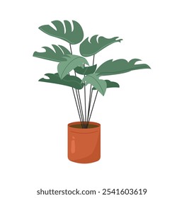 Monstera Plant Illustration. Tropical Plant. Home Plant. Plant for Home Decor. Tropical Plants in Botanical Illustration. Aesthetic Plants Illustration for Modern Home Decor. 