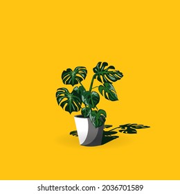 Monstera-Pflanzengrafik, Vektorbild auf gelbem Hintergrund