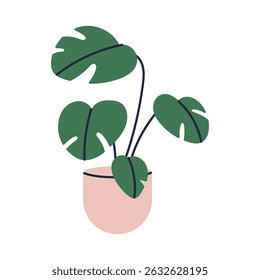 Monstera plant with large split leaves in decorative pot, tropical green indoor houseplant for home or office, natural interior decor element flat vector illustration.