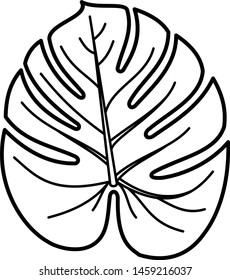 Monstera Clipart Black And White