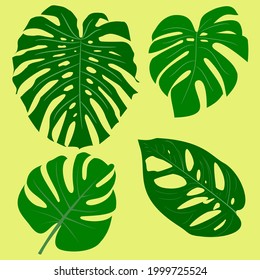 Monstera plant leaf from tropical forests isolated on yellow background. Can be used for greeting cards, flyers, invitations, web design, to everything. Vector Illustration