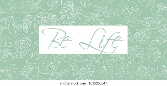 Monstera plant leaves  Pattern Tropical leaves vector  Gift wrapping paper Comfortable home  Seamless Tile