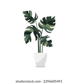 monstera plant on white pot vector illustration