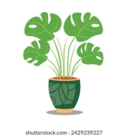 Monstera plant in a pot, front view vector image