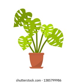 Monstera plant in pot for home decor. Vector illustration