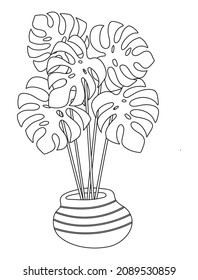 Monstera plant in a pot on white background. Potted houseplant, indoor vector illustration.