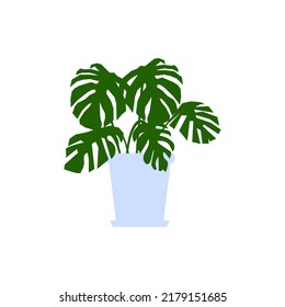 Monstera with plant pot on white background. Indoor plants with modern planter, decor ideas for modern home interior.