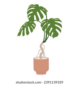 Monstera plant in pot on white background, cute exotic floliage. Hand Drawn doodle style, vector illustration