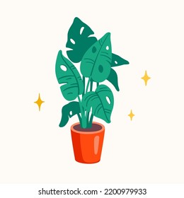 Monstera plant in a pot vector flat illustration. Tropical interior palm, house garden.