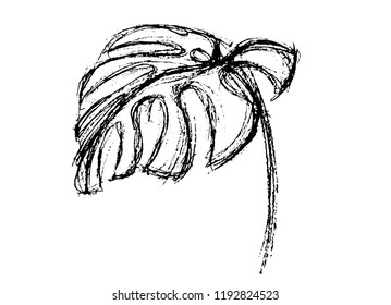 Monstera Plant Sketch Vector Drawing 스톡 벡터(로열티 프리) 1192824523