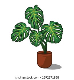 monstera plant vector logo icon