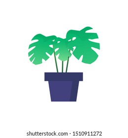 Monstera plants icon colour flat in pot