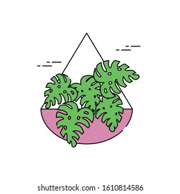 monstera plants in wall pot flat fill vector illustration