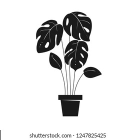 monstera pot silhouette. Home tropic plant. Exotic leaf of palm