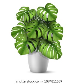 Monstera In A Pot. Tropical Plant For Interior Decor Of Home Or Office. Vector Illustration In Vector Realistic 3d Style.