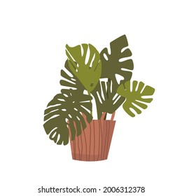 Monstera Potted Palm Tree, Domestic Plant in Flowerpot. Tropical Decorative Palm in Pot. Botanic Graphic Design Element Isolated on White Background. Vector Illustration, Icon, Label or Logo Decor