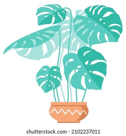 Monstera - Potted plant. Houseplant. Hand drawn vector illustration. House indoor plant isolated on white.