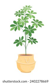 Monstera. Potted plant vector illustration. Big houseplant in floor flower pot. Indoor interior house and office flowerpot. Green flower for home decoration. Cozy landscaping.