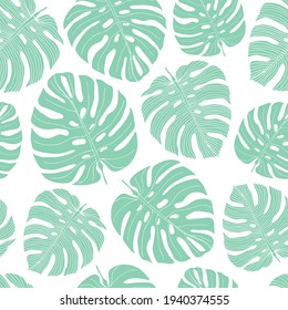 Monstera. Seamless pattern. Exotic, tropical plant leaves. On a white background. Delicate, natural, botanical, ecological, trendy, herbal. For printing and design on fabric, paper.