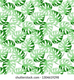 Monstera seamless pattern. Green white tropical background, exotic texture, botanic tiling. Vector illustration.
