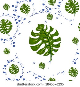 Monstera, patrón sin costura de hojas sobre fondo blanco.
