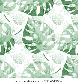 Monstera seamless pattern. Tropical pattern, green leaves on a white background. Vector illustration.