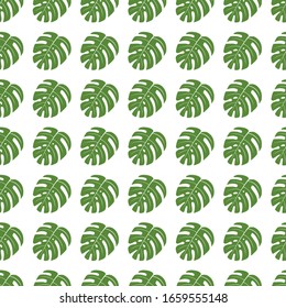 monstera - textura vectorial transparente de hojas verdes. textil