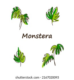 Monstera set, line drawing, green color, big leaves, nature, flower, acrylic painting, doodle style