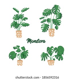 Monstera set vector illustration smart