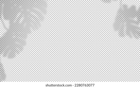 Monstera shadow. Plant leaves overlay shade. Falls reflect lighting from branches. Sun rays reflection from flowers. Reflected shades plants isolated on background for poster. Vector illustration