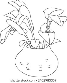 Monstera standleyana plant on pot black and white vector line art illustration