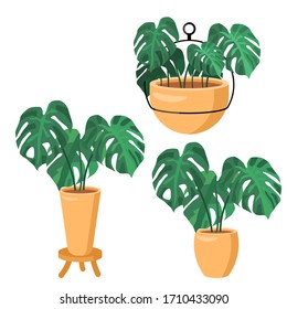 Monstera sticker set on white isolated backdrop. House plant for gift card, home plants store logo, bath tile, web landing page. Phone case or cloth print art. Flat style stock vector illustration