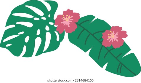 Monstera tropical exotic greenery leaves. Tropical flowers.