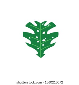 monstera tropical foliage nature leaf icon flat vector illustration