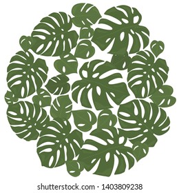 Monstera tropical forest leaves background. Green frame decoration. Vector illustration
