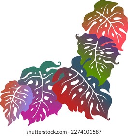 Monstera tropical green leaf drawing. Exotic nature palm plants theme illustration, decorative vector element for logo design, postcard, party invitation deco, restaurant menu, spa salon. Hand drawing