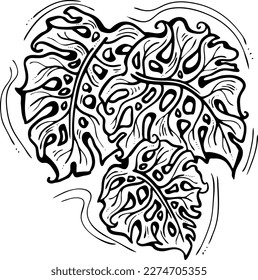Dibujo de hoja verde tropical de Monstera. Ilustración temática de plantas de palma de naturaleza exótica, elemento decorativo vectorial para el diseño del logo, postal, invitación a fiesta deco, menú del restaurante, salón de spa. Dibujo manual
