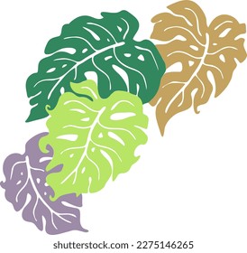 Monstera tropical green leaf drawing. Exotic nature palm plants theme illustration, decorative vector element for logo design, postcard, party invitation deco, restaurant menu, spa salon. Hand drawing