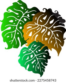 Monstera tropical green leaf drawing. Exotic nature palm plants theme illustration, decorative vector element for logo design, postcard, party invitation deco, restaurant menu, spa salon. Hand drawing