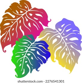 Monstera tropical green leaf drawing. Exotic nature palm plants theme illustration, decorative vector element for logo design, postcard, party invitation deco, restaurant menu, spa salon. Hand drawing