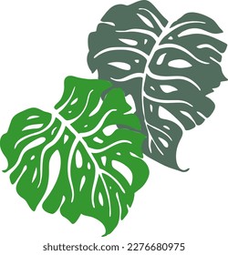 Dibujo de hoja verde tropical de Monstera. Ilustración temática de plantas de palma de naturaleza exótica, elemento decorativo vectorial para el diseño del logo, postal, invitación a fiesta deco, menú del restaurante, salón de spa. Dibujo manual