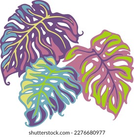 Monstera tropical green leaf drawing. Exotic nature palm plants theme illustration, decorative vector element for logo design, postcard, party invitation deco, restaurant menu, spa salon. Hand drawing