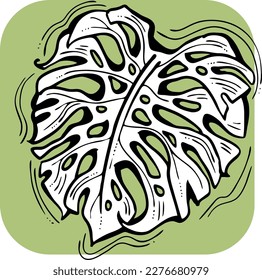 Dibujo de hoja verde tropical de Monstera. Ilustración temática de plantas de palma de naturaleza exótica, elemento decorativo vectorial para el diseño del logo, postal, invitación a fiesta deco, menú del restaurante, salón de spa. Dibujo manual