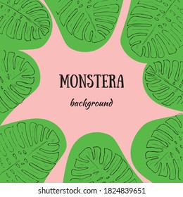 Monstera Tropical Jungle Plant With Green Leaves. A flat set of illustrations isolated on a pink background.