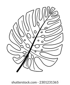 Monstera tropical leaf doodle object. Hand drawn exotic foliage. Monstera Deliciosa. Modern line clip art element. Vector illustration isolated on transparent background