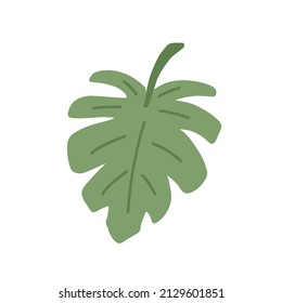 Monstera Tropical leaf. Hand drawn vector design element.